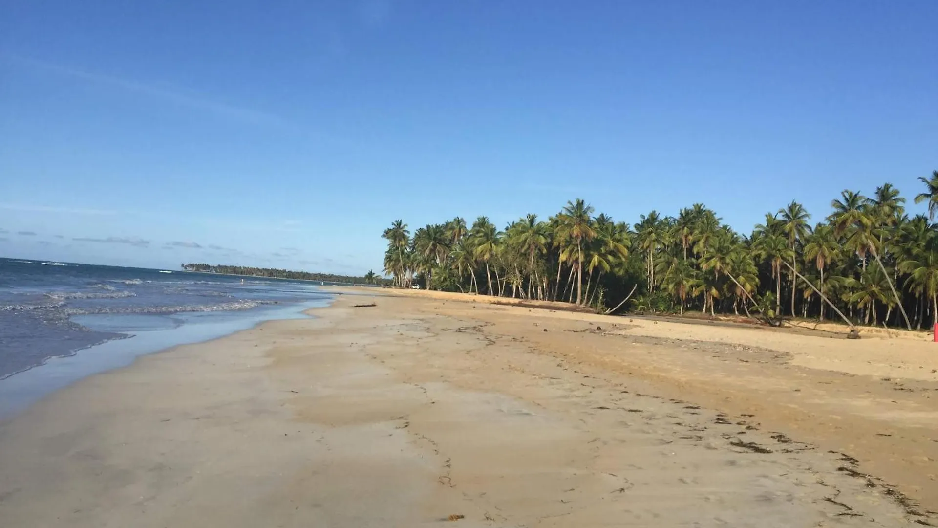 Daire Cocon Caraibeen Proche De La Plage Las Terrenas
